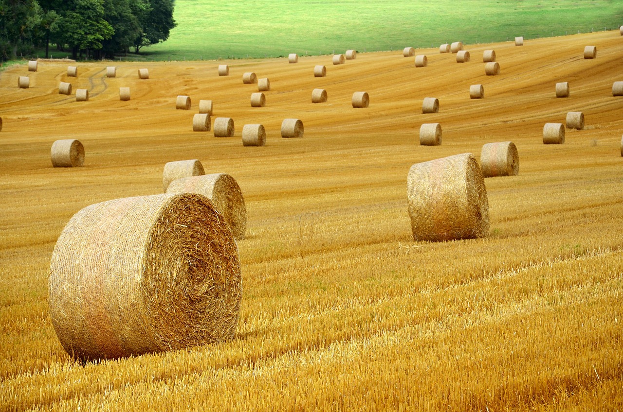 Agricultural